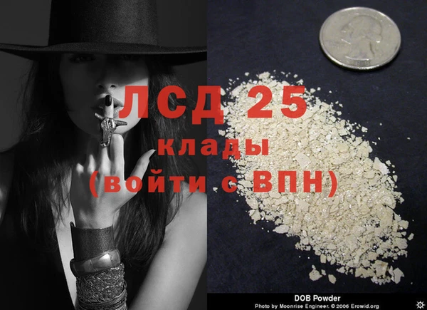 каннабис Новозыбков