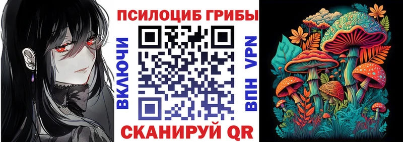 Галлюциногенные грибы Cubensis  кракен зеркало  Весьегонск 