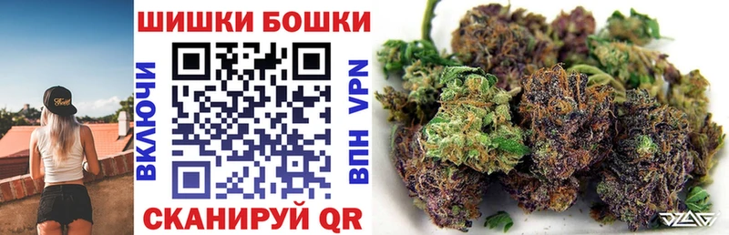 Бошки марихуана сатива продажа наркотиков Весьегонск